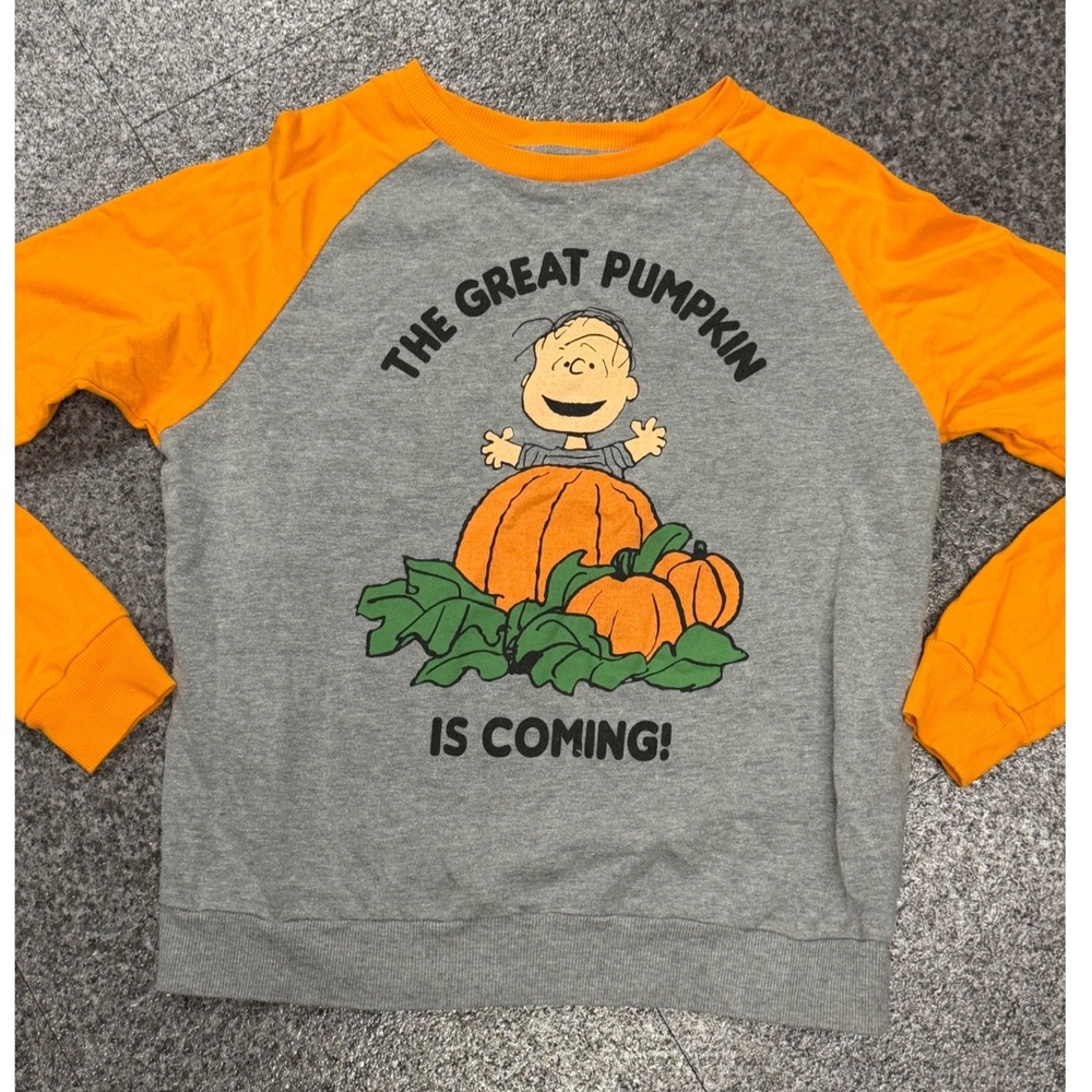 Halloween Peanuts Great Pumpkin Sweatshirt Womens Medium Gray Orange Excellent